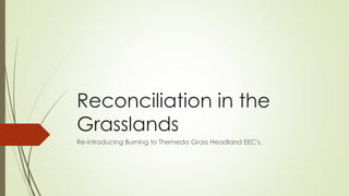 Reconciliation in the
Grasslands
Re-introducing Burning to Themeda Grass Headland EEC's.
 