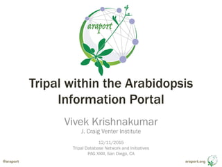 araport.org@araport
Tripal within the Arabidopsis
Information Portal
Vivek Krishnakumar
J. Craig Venter Institute
12/11/2015
Tripal Database Network and Initiatives
PAG XXIII, San Diego, CA
 