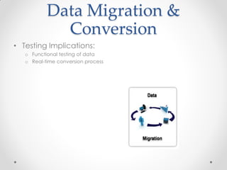 Data Conversion Testing Flow Testing in the New World of Off-the-Shelf Software | PDF
