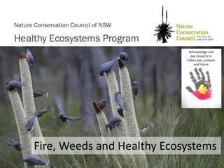 Acknowledge and
pay respects to
Elders past, present
and future
Fire, Weeds and Healthy Ecosystems
 