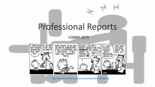 Professional Reports
COMM-3073
https://teenetinytina.files.wordpress.com/2013/04/calvinandhobbes.jpg
 