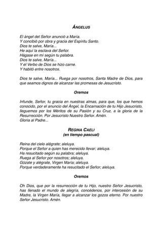 ÁNGELUS
El ángel del Señor anunció a María.
Y concibió por obra y gracia del Espíritu Santo.
Dios te salve, María...
He aquí la esclava del Señor.
Hágase en mí según tu palabra.
Dios te salve, María...
Y el Verbo de Dios se hizo carne.
Y habitó entre nosotros.
Dios te salve, María... Ruega por nosotros, Santa Madre de Dios, para
que seamos dignos de alcanzar las promesas de Jesucristo.
Oremos
Infunde, Señor, tu gracia en nuestras almas, para que, los que hemos
conocido, por el anuncio del Ángel, la Encarnación de tu Hijo Jesucristo,
lleguemos por los Méritos de su Pasión y su Cruz, a la gloria de la
Resurrección. Por Jesucristo Nuestro Señor. Amén.
Gloria al Padre...
REGINA CAELI
(en tiempo pascual)
Reina del cielo alégrate; aleluya.
Porque el Señor a quien has merecido llevar; aleluya.
Ha resucitado según su palabra; aleluya.
Ruega al Señor por nosotros; aleluya.
Gózate y alégrate, Virgen María; aleluya.
Porque verdaderamente ha resucitado el Señor; aleluya.
Oremos
Oh Dios, que por la resurrección de tu Hijo, nuestro Señor Jesucristo,
has llenado el mundo de alegría, concédenos, por intercesión de su
Madre, la Virgen María, llegar a alcanzar los gozos eterno. Por nuestro
Señor Jesucristo. Amén.
 