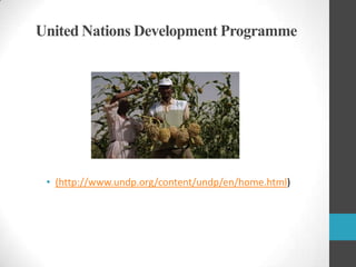 United Nations Development Programme

• (http://www.undp.org/content/undp/en/home.html)

 
