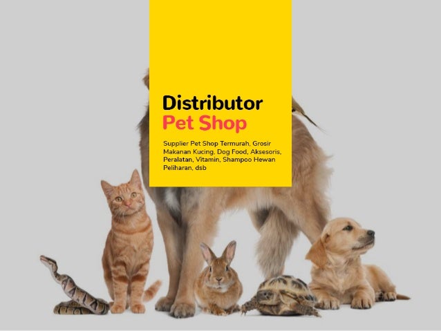 Paling Murah Wa 0852 8000 8050 Grosir Makanan Kucing