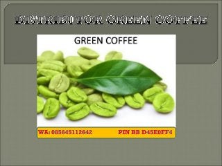 WA: +62 856 4511 2642, Harga Green Coffee Di Indonesia