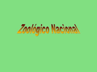 Zoológico Nacional 