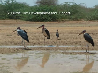 2. Curriculum Development and Support