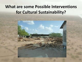 What are some Possible Interventions for Cultural Sustainability?