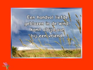 Waarheden( lieven )