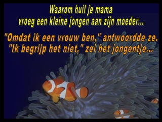 Waarom huil je.