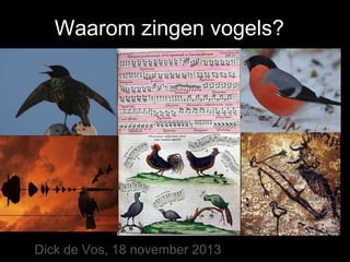Waarom zingen vogels?

Dick de Vos, IVN Leiden

 