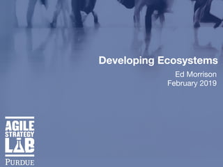 Developing Ecosystems
Ed Morrison

February 2019
 