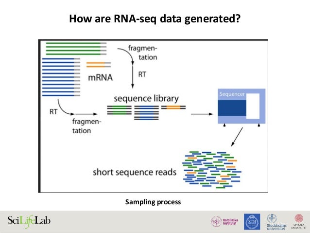 rna seq differential expression analysis rna seq analysis