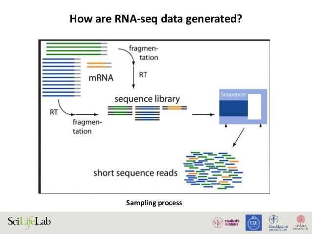 epub molecular pathology