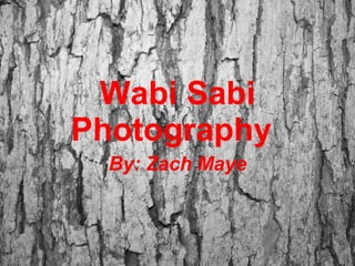 Wabi Sabi Photography By: Zach Maye 