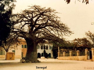 Senegal   