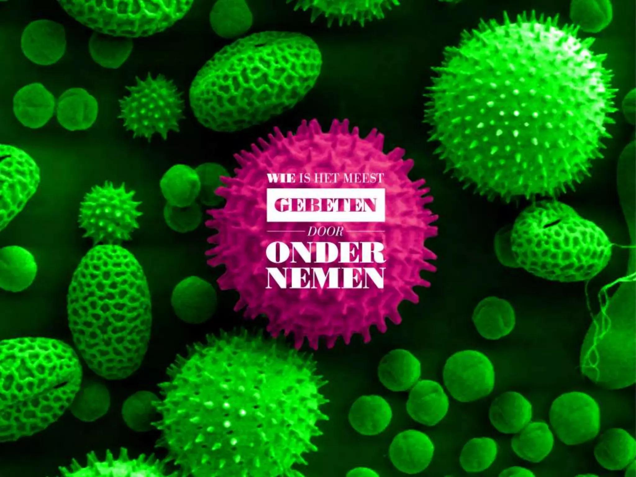 Wachtpresentatie Ondernemersaward 2015 | PPTX