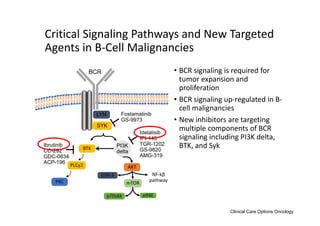LYN
SYK
BCR
BTK
PLCγ2
PKC
AKT
mTOR
p70s6k elf4E
GSK‐3 NF‐kβ
pathway
Critical Signaling Pathways and New Targeted 
Agents in B‐Cell Malignancies
• BCR signaling is required for 
tumor expansion and 
proliferation
• BCR signaling up‐regulated in B‐
cell malignancies
• New inhibitors are targeting 
multiple components of BCR 
signaling including PI3K delta, 
BTK, and SykIbrutinib
CC-292
GDC-0834
ACP-196
┬
Idelalisib
IPI-145
TGR-1202
GS-9820
AMG-319
Fostamatinib
GS-9973
PI3K
delta
Clinical Care Options Oncology
 