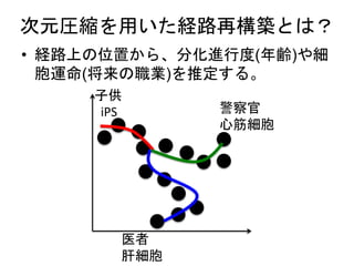 次元圧縮を用いた経路再構築とは？
• 経路上の位置から、分化進行度(年齢)や細
胞運命(将来の職業)を推定する。
子供
iPS 警察官
心筋細胞
医者
肝細胞
 