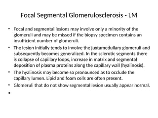 Focal Segmental Glomerulosclerosis - LM
• Focal and segmental lesions may involve only a minority of the
glomeruli and may be missed if the biopsy specimen contains an
insufficient number of glomeruli.
• The lesion initially tends to involve the juxtamedullary glomeruli and
subsequently becomes generalized. In the sclerotic segments there
is collapse of capillary loops, increase in matrix and segmental
deposition of plasma proteins along the capillary wall (hyalinosis).
• The hyalinosis may become so pronounced as to occlude the
capillary lumen. Lipid and foam cells are often present.
• Glomeruli that do not show segmental lesion usually appear normal.
•
 