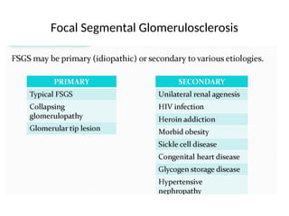 Focal Segmental Glomerulosclerosis
 