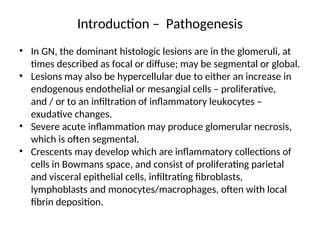 Introduction – Pathogenesis
• In GN, the dominant histologic lesions are in the glomeruli, at
times described as focal or diffuse; may be segmental or global.
• Lesions may also be hypercellular due to either an increase in
endogenous endothelial or mesangial cells – proliferative,
and / or to an infiltration of inflammatory leukocytes –
exudative changes.
• Severe acute inflammation may produce glomerular necrosis,
which is often segmental.
• Crescents may develop which are inflammatory collections of
cells in Bowmans space, and consist of proliferating parietal
and visceral epithelial cells, infiltrating fibroblasts,
lymphoblasts and monocytes/macrophages, often with local
fibrin deposition.
 
