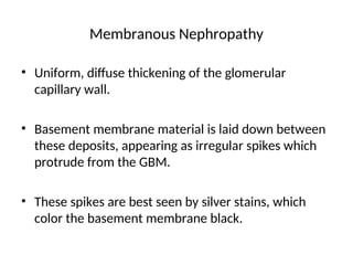 Membranous Nephropathy
• Uniform, diffuse thickening of the glomerular
capillary wall.
• Basement membrane material is laid down between
these deposits, appearing as irregular spikes which
protrude from the GBM.
• These spikes are best seen by silver stains, which
color the basement membrane black.
 