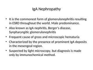 IgA Nephropathy
• It is the commonest form of glomerulonephritis resulting
in ESRD throughout the world. Male predominance.
• Also known as IgA nephritis, Berger's disease,
Synpharyngitic glomerulonephritis
• Frequent cause of gross and microscopic hematuria
• Characterized by the presence of prominent IgA deposits
in the mesengeal region.
• Suspected by light microscopy, but diagnosis is made
only by immunochemical method.
 