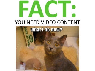 FACT:
YOU NEED VIDEO CONTENT
 