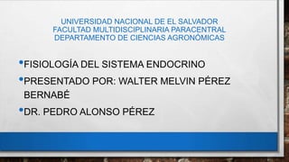 UNIVERSIDAD NACIONAL DE EL SALVADOR
FACULTAD MULTIDISCIPLINARIA PARACENTRAL
DEPARTAMENTO DE CIENCIAS AGRONÓMICAS
•FISIOLOGÍA DEL SISTEMA ENDOCRINO
•PRESENTADO POR: WALTER MELVIN PÉREZ
BERNABÉ
•DR. PEDRO ALONSO PÉREZ
 