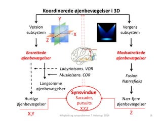 X 
Y 
Labyrintsans. VOR 
Z 
Langsomme 
øjenbevægelser 
Synsvindue 
Saccader, 
pursuits 
X,Y,Z 
Whiplash og synsproblemer. T. Helstrup. 2014 
Vergens 
subsystem 
Ensrettede 
øjenbevægelser 
Modsatrettede 
øjenbevægelser 
Hurtige 
øjenbevægelser 
Fusion. 
Nærrefleks 
Nær-fjern 
øjenbevægelser 
Muskelsans. COR 
Version 
subsystem 
16 
Koordinerede øjenbevægelser i 3D 
X,Y Z 
 