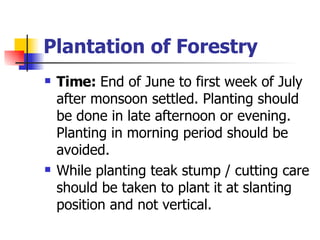 Plantation of Forestry Time:  End of June to first week of July after monsoon settled. Planting should be done in late afternoon or evening. Planting in morning period should be avoided. While planting teak stump / cutting care should be taken to plant it at slanting position and not vertical. 
