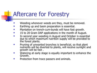 Aftercare for Forestry Weeding whenever weeds are they, must be removed. Earthing up and basin preparation is essential. Plantation on trench-cum-bunds will have fast growth. 15 to 20 Gram DAP applications in the month of August. In second year weeding in August and October is essential due to which maximum nutrition supply will be provided to the forest plants. Pruning of unwanted branches is beneficial, so that plant nutrients will be diverted to plants, will receive sunlight and growth will be fast . Watering at early stage is equally important to enhance the Growth. Protection from trace passers and animals. 