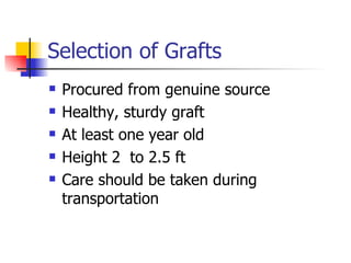 Selection of Grafts Procured from genuine source Healthy, sturdy graft At least one year old Height 2  to 2.5 ft Care should be taken during transportation 