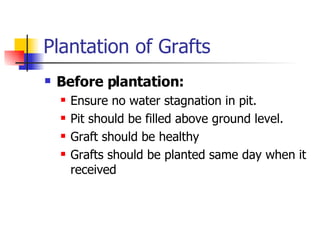 Plantation of Grafts  Before plantation: Ensure no water stagnation in pit. Pit should be filled above ground level. Graft should be healthy Grafts should be planted same day when it received 