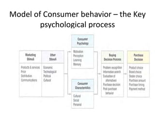 Model of Consumer behavior – the Key 
psychological process 
 