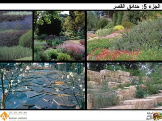 Wadi Amman Presentation  Arabic 090512 Reduced