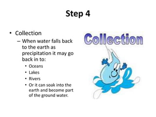 Step 4
• Collection
– When water falls back
to the earth as
precipitation it may go
back in to:
• Oceans
• Lakes
• Rivers
• Or it can soak into the
earth and become part
of the ground water.
 