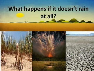What happens if it doesn’t rain
at all?
 