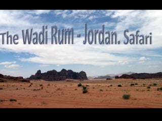 The Wadi Rum - Jordan. Safari 