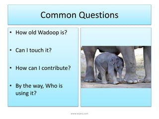 Common Questions
• How old Wadoop is?
• Can I touch it?
• How can I contribute?
• By the way, Who is
using it?
www.wipro.com
 