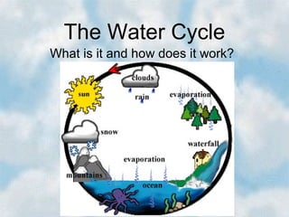 The Water Cycle
What is it and how does it work?

 