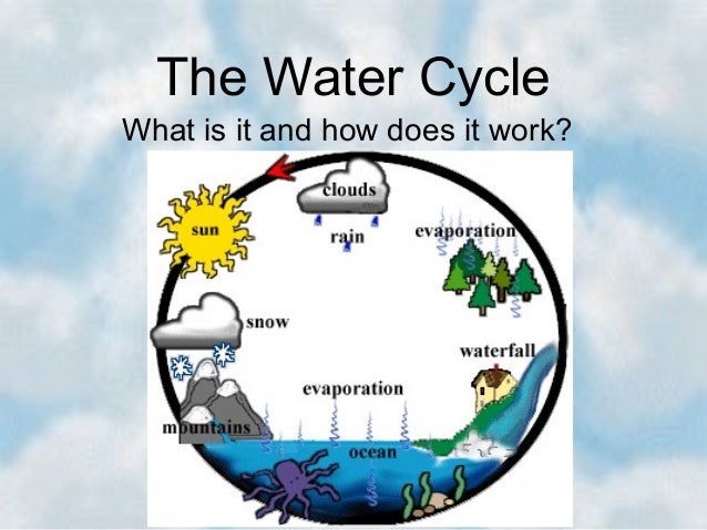 the water cycle 204 1 638
