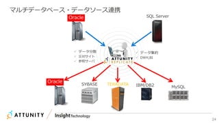 24
マルチデータベース・データソース連携
 データ分散
 災対サイト
 参照サーバ
 データ集約
 DWH,BI
SQL ServerOracle
Oracle
MySQLIBM/DB2TERADATASYBASE
 