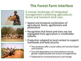 The Forest Farm Interface
A mosaic landscape of integrated
management combining agricultural,
forest and livestock land us...