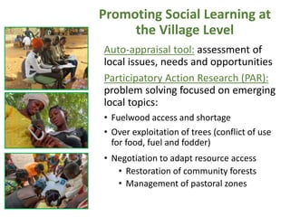 West Africa Forest-Farm Interface Project (WAFFI): Enhancing smallholder food security, incomes and gender equity within West Africa’s forest-farm interface