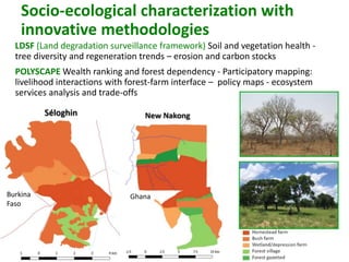 West Africa Forest-Farm Interface Project (WAFFI): Enhancing smallholder food security, incomes and gender equity within West Africa’s forest-farm interface