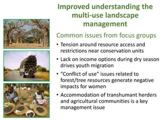 West Africa Forest-Farm Interface Project (WAFFI): Enhancing smallholder food security, incomes and gender equity within West Africa’s forest-farm interface