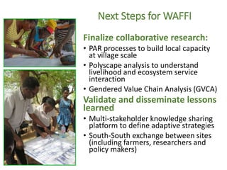 West Africa Forest-Farm Interface Project (WAFFI): Enhancing smallholder food security, incomes and gender equity within West Africa’s forest-farm interface