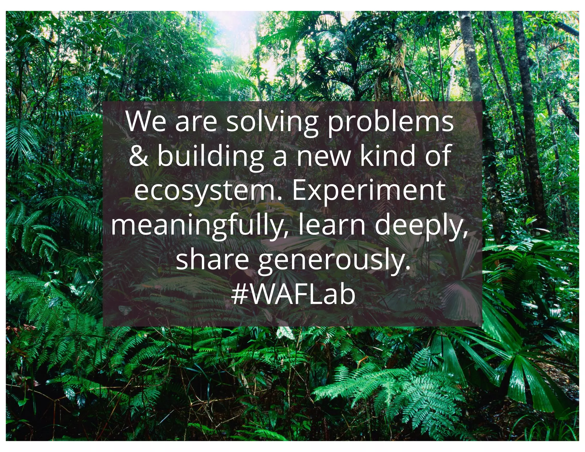 www.kristinwolff.com
POWERPOINT PROPOSAL
PAGE 26
We are solving problems
& building a new kind of
ecosystem. Experiment
meaningfully, learn deeply,
share generously.
#WAFLab
 